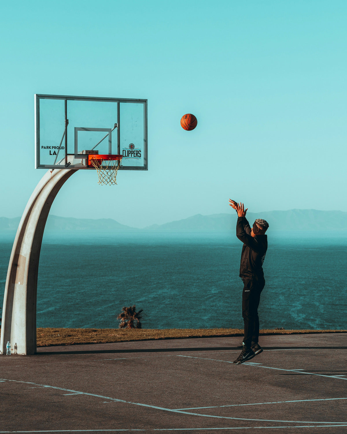 The Everyday Power of Epicatechin: What It Is and Why It Matters