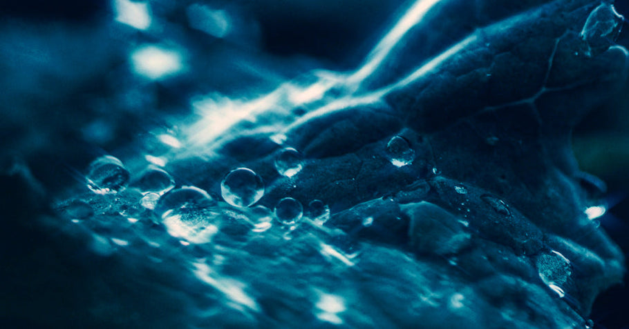 BPC-157 for Tissue Resilience and Beyond: Real Stories from Athletes and Wellness Enthusiasts