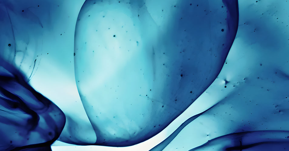 The Gut-Brain Connection: How Probiotics, Postbiotics, and Akkermansia Impact Your Mood