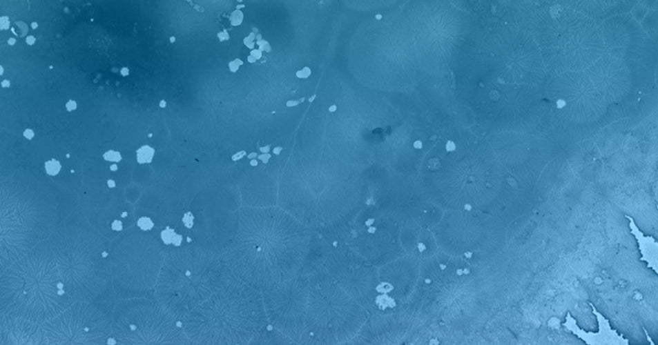 The Latest Research on BPC-157: What Science Says About Gut Health Supplements and Post-Exercise Recovery