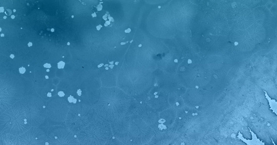 The Latest Research on BPC-157: What Science Says About Gut Health Supplements and Post-Exercise Recovery