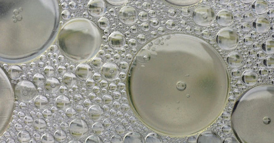 Unlocking Cellular Health: Senolytics, Autophagy, and the Quest for Lifespan Extension