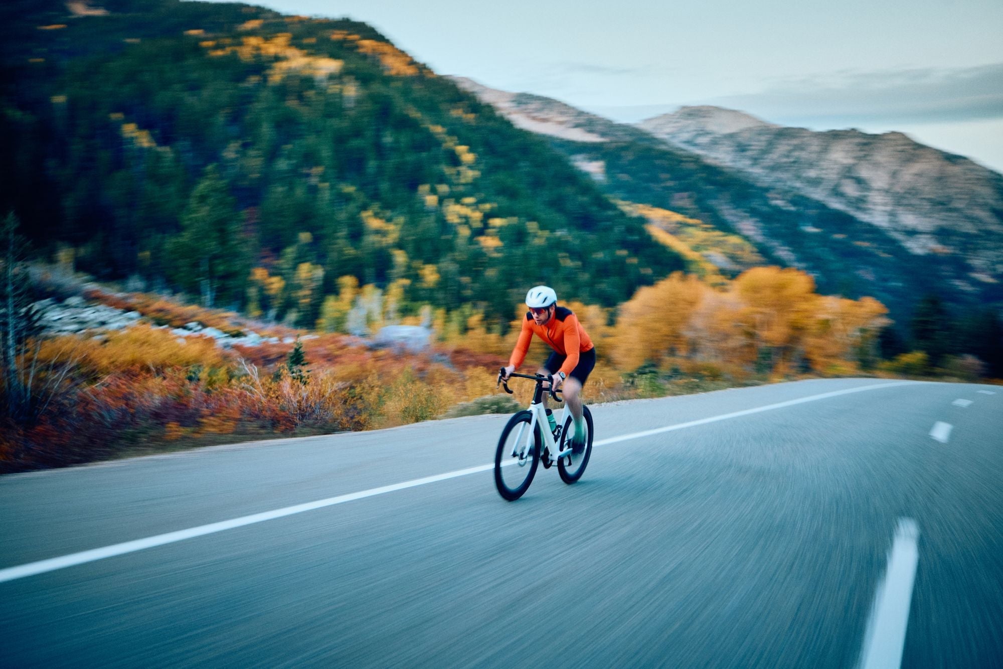 A Sweet Choice: How Chocolate Works as a Nutrient Delivery System