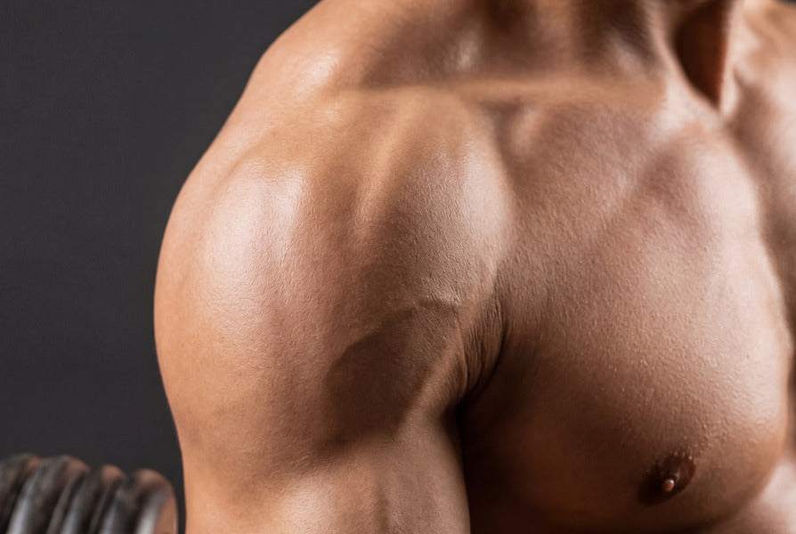Oral KPV: How KPV Capsules Work in the Body