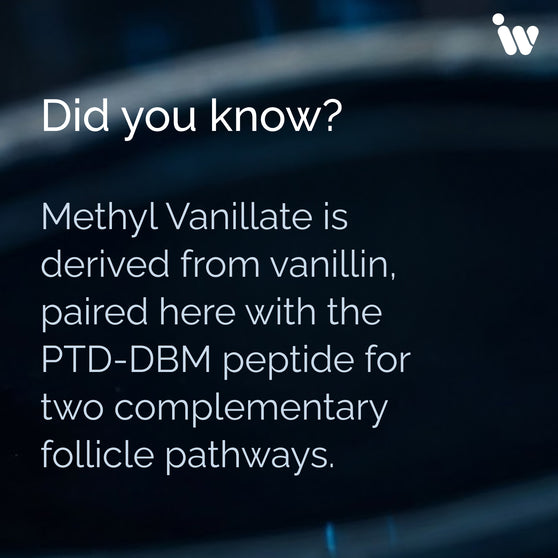 PTD-DBM